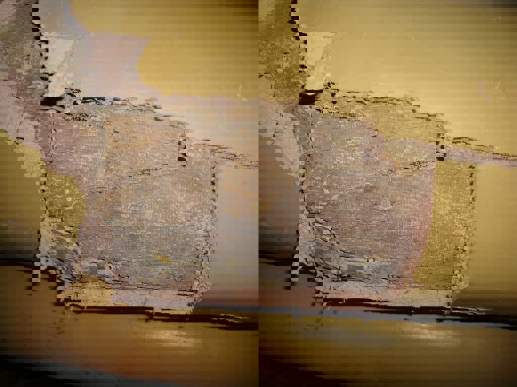 Asbestos insulation board identified in a commercial building survey