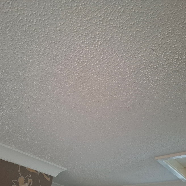 textured coating artex