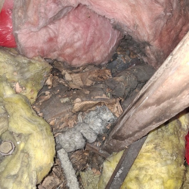 Pure amosite asbestos rope found in a loft used to insulate pipes